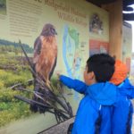 children look at the RNWR entrance sign showing an image of a Red-tailed Hawk