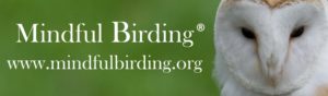 mindful_birding_logo-1