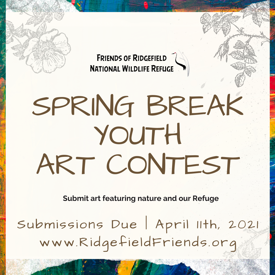 Spring Break Youth Art Contest 2021 - Friends of the Ridgefield National  Wildlife Refuge