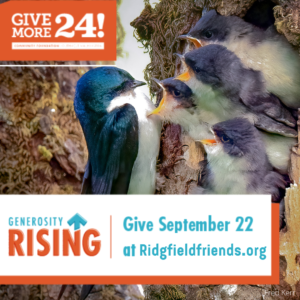 GiveMore24! Generosity Rising give September 22 at ridgefieldfriends.org overlaid an image of baby tree swallows begging for food from an adult