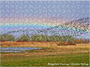 rainbow and goose flock image turned into a puzzle