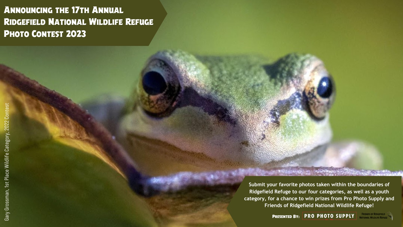 Photo Contest - Friends of the Ridgefield National Wildlife Refuge