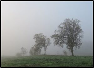 Foggy morning on Auto Tour