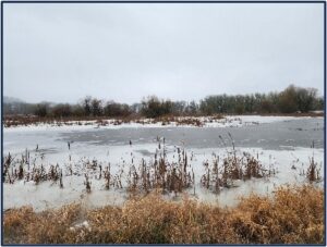 snow and ice cover a wetland by Susan Setterberg