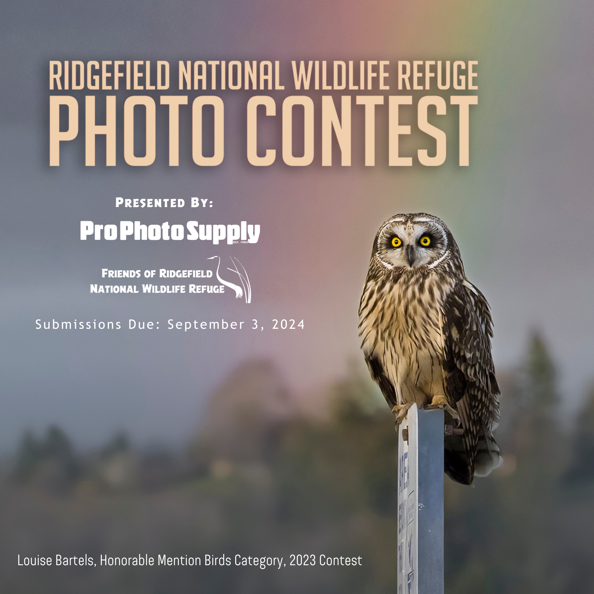 Ridgefield National Wildlife Refuge Photo Contest 2024. Presented by Pro Photo Supply and Friends of Ridgefield National Wildlife Refuge. Submissions Due September 3, 2024. Louise Bartels, Honorable Mention, Birds Category, 2023 Contest Short-eared Owl sitting on a Refuge boundary sign with a rainbow leading to it.