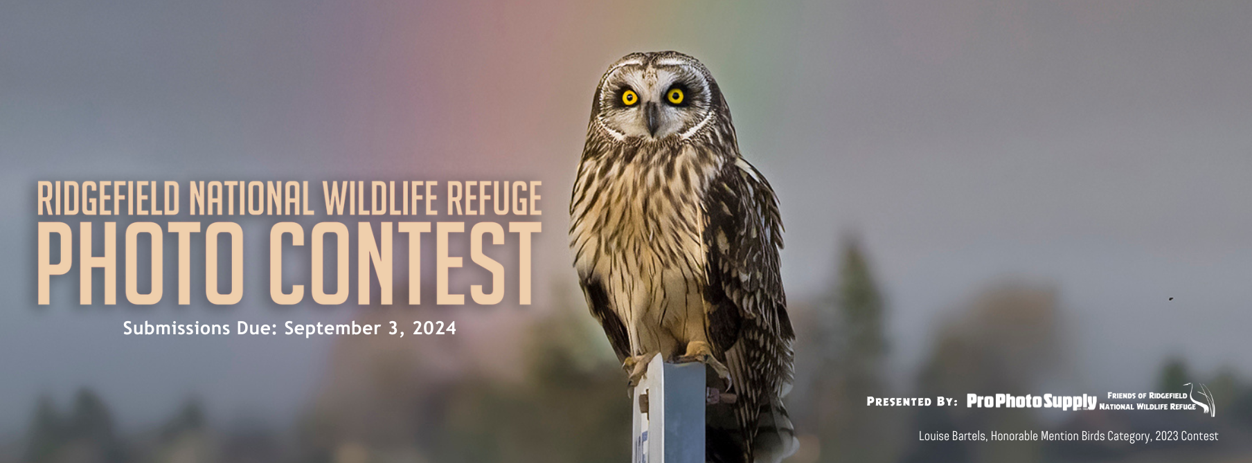 image of a short-eared owl sitting on a Refuge boundary sign, with text added, "Ridgefield National Wildlife Refuge Photo Contest. Submissions Due Septembner 3, 2024. Presented by Pro Photo Supply and the Friends of Ridgefield National Wildlife Refuge