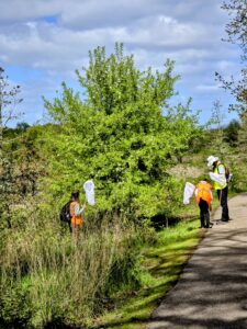 OSU Master Melittologist Program surveyors