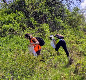 OSU Master Melittologist Program surveyors