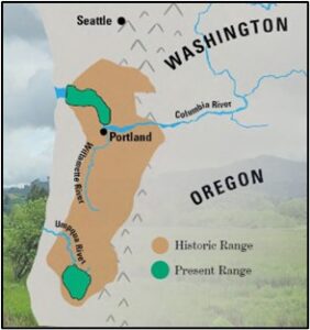 Map reprinted from USFWS Julia Hansen Butler NWR Brochure
