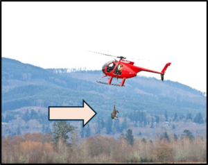 Columbian white-tailed deer is lifted via helicopter for transport from the Julia Butler Hansen Refuge for the Columbian White-tailed Deer to Ridgefield National Wildlife Refuge, both in southwest Washington, March 19, 2013. Photo Credit Tim Jewett