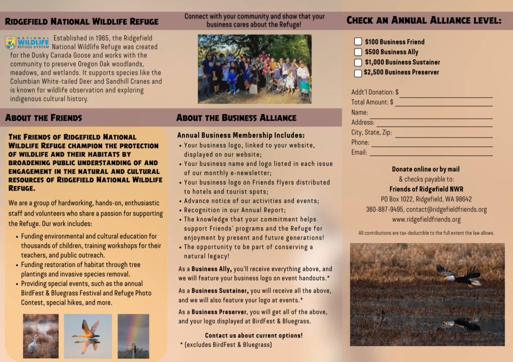 Detailed PDF of a brochure, all details included on this webpage