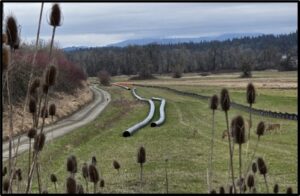 Looking North toward New Pump Station