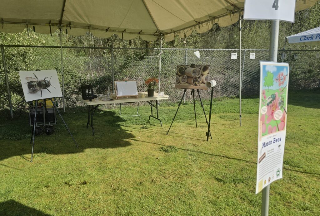 2nd Grade Bee education Tent