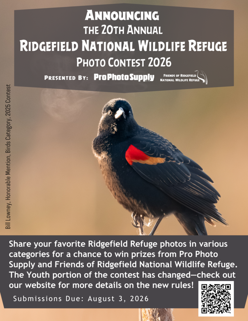 2026 RNWR Photo Contest 20th annual red winged Blackbird