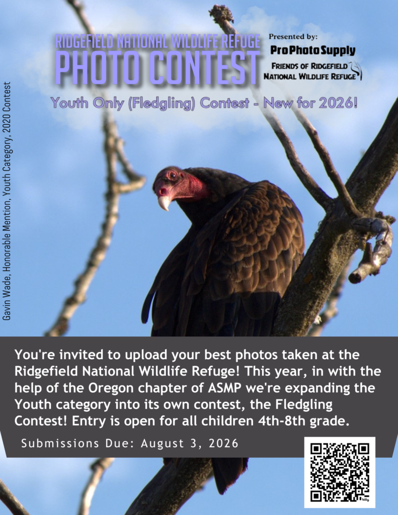 RNWR Fledgling Contest 2026 detail flyer with QR code for full details